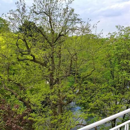 Ferienwohnung Parkblick Brema Zewnętrze zdjęcie